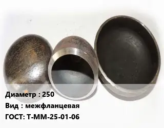 Заглушка стальная резьбовая 250 межфланцевая ГОСТ: Т-ММ-25-01-06